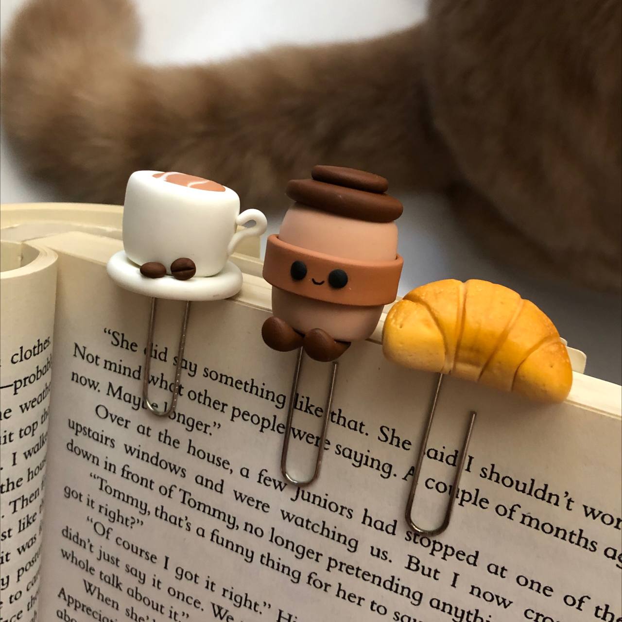 photo_2025-11-05_20-13-08